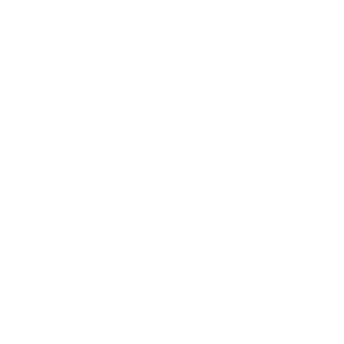 Crypto program logo